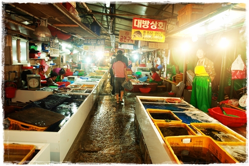 삼천포항 어시장 풍경 2 